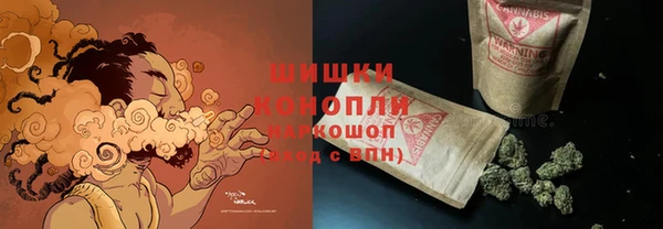 эйфоретик Бородино