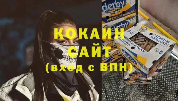 эйфоретик Бородино