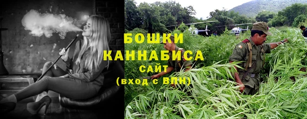 трава Бронницы