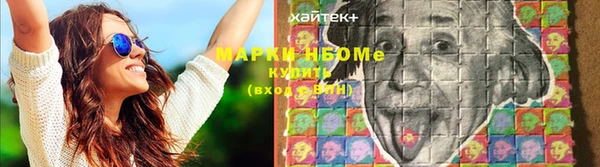 эйфоретик Бородино