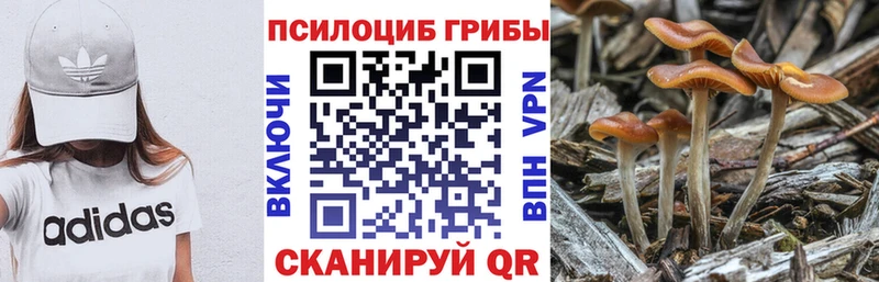 площадка как зайти  где продают   Медвежьегорск  Галлюциногенные грибы мухоморы 